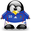 Penguin pingouin pinguino 220